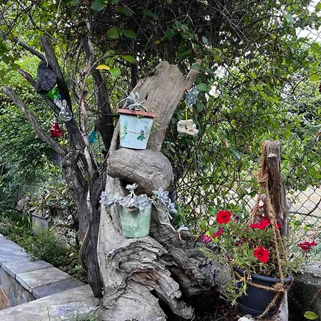 ιξός Vria
