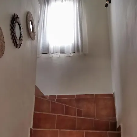 ιξός Vria