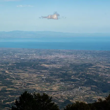 Βίλα ιξός